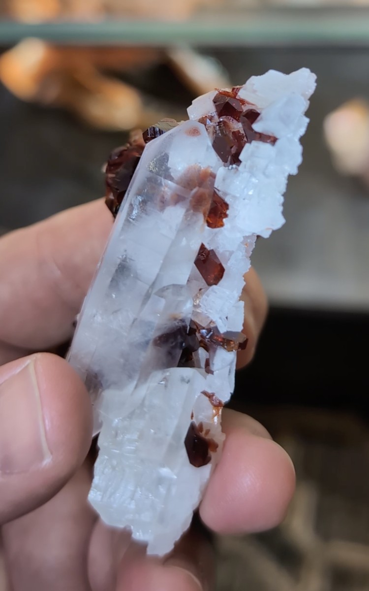 Quartz with Red Uvite Tourmaline - Doubly Terminated Crystal on Druse Matrix, Brazil